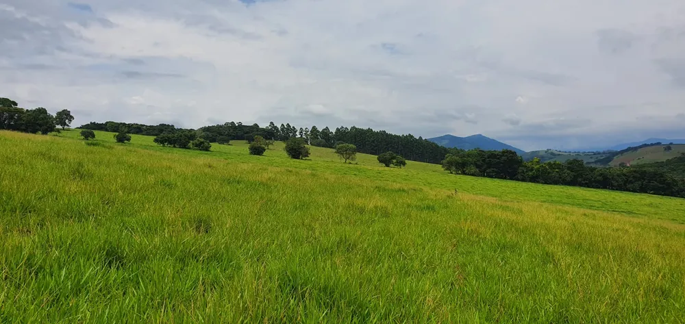 Fazenda, 209 hectares - Foto 9