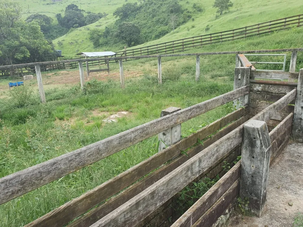 Fazenda, 209 hectares - Foto 11