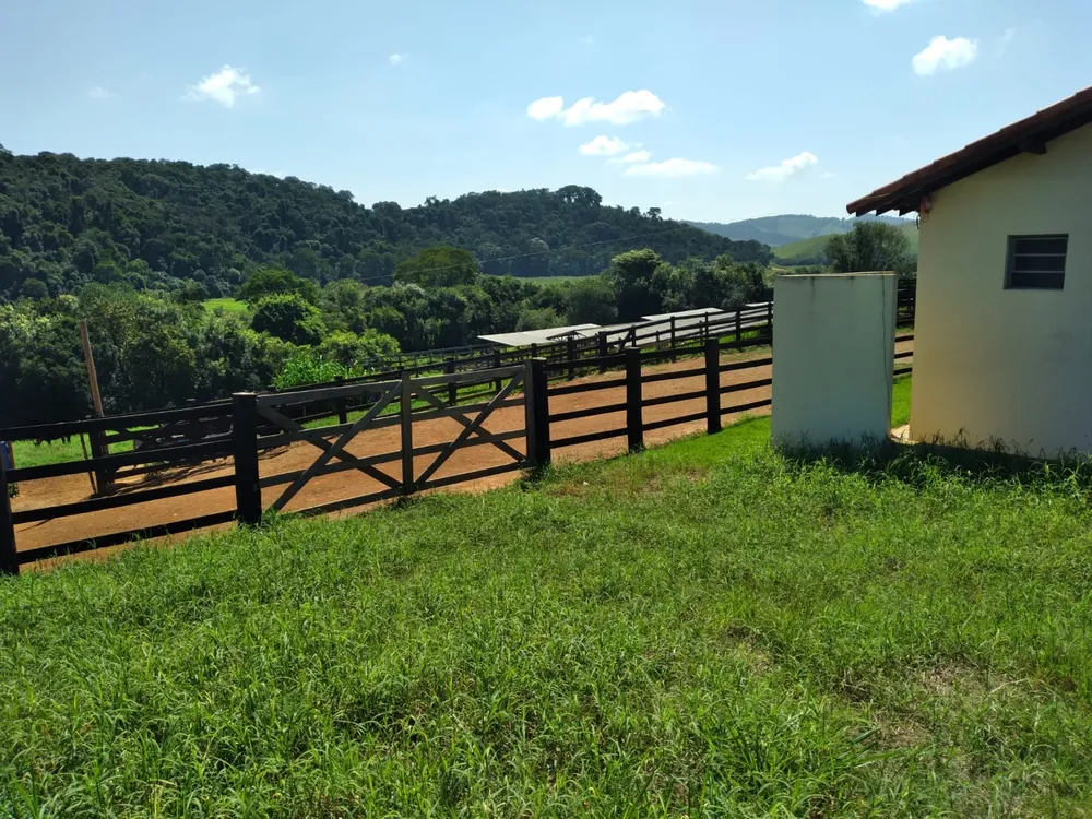 Fazenda, 209 hectares - Foto 5