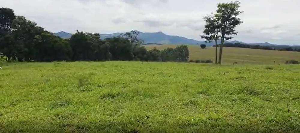 Fazenda, 209 hectares - Foto 10