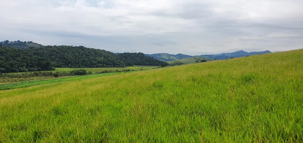 Fazenda, 209 hectares - Foto 19