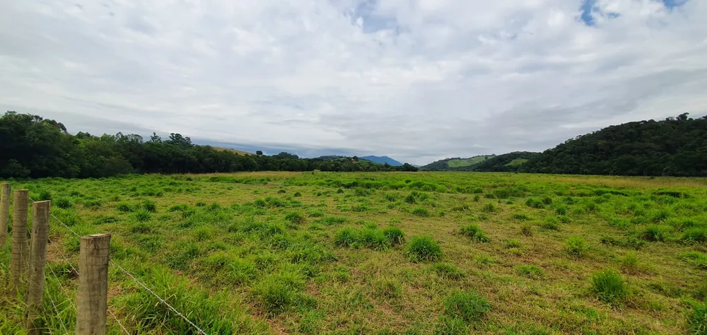 Fazenda, 209 hectares - Foto 1