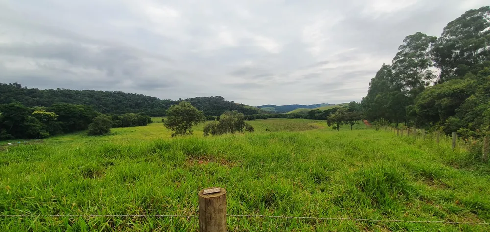 Fazenda, 209 hectares - Foto 12