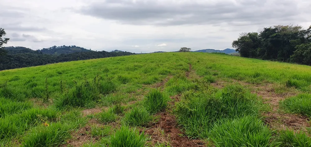 Fazenda, 209 hectares - Foto 13