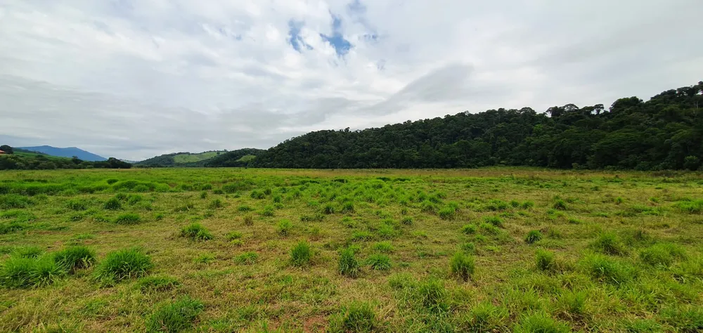 Fazenda, 209 hectares - Foto 18