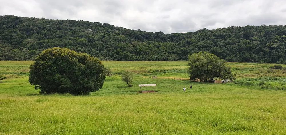 Fazenda, 209 hectares - Foto 14
