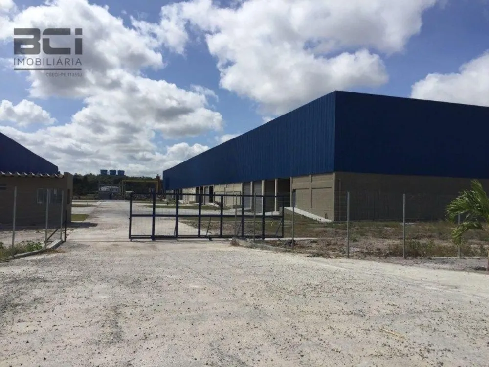 Depósito-Galpão, 10000 m² - Foto 3