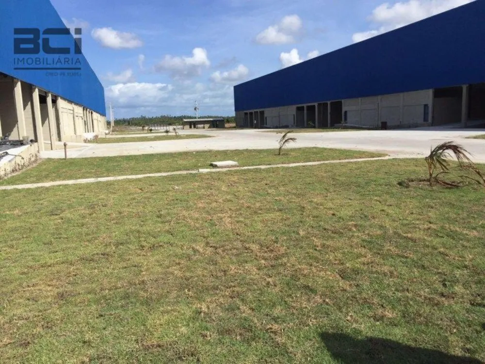 Depósito-Galpão, 10000 m² - Foto 6