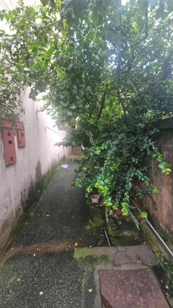 Casa, 6 quartos, 360 m² - Foto 6