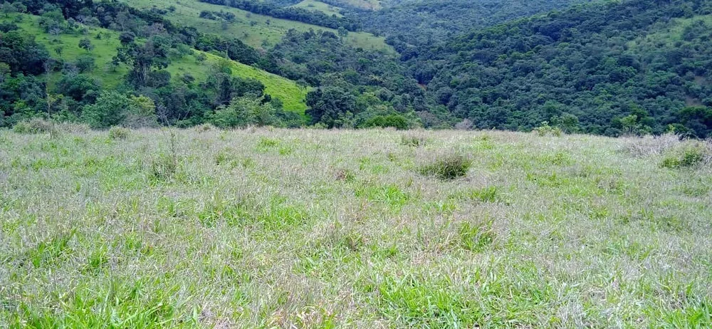 Chácara à venda com 1 quarto, 150000m² - Foto 2