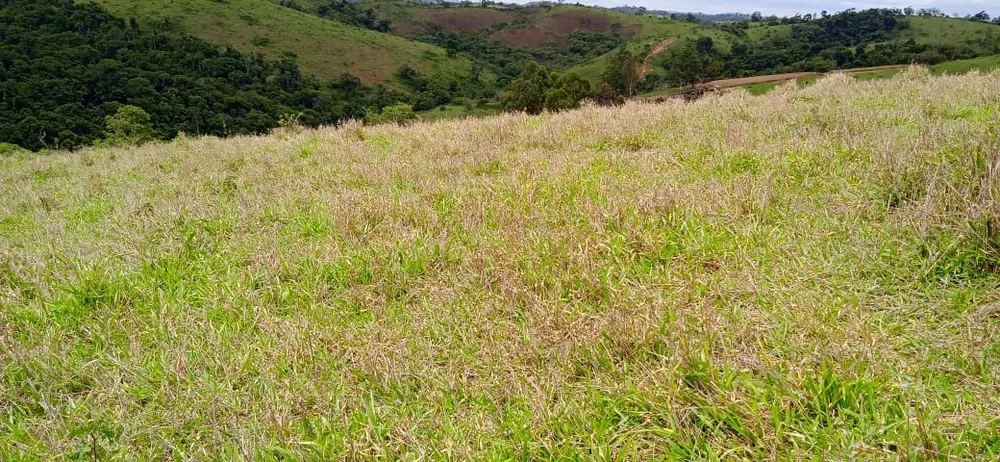 Chácara à venda com 1 quarto, 150000m² - Foto 3