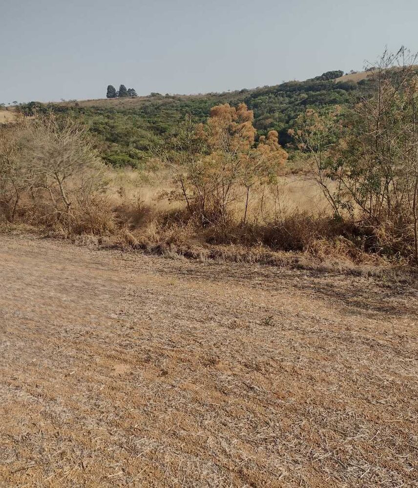 Fazenda à venda com 1 quarto, 2000000m² - Foto 7