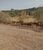 Fazenda, 200 hectares - Foto 7