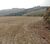 Fazenda, 200 hectares - Foto 11