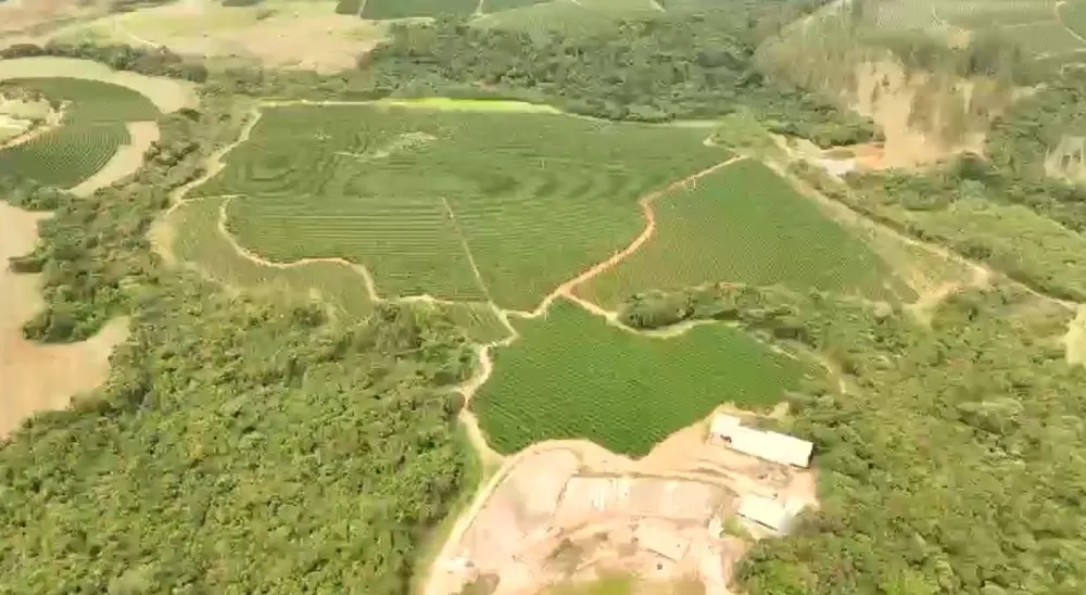 Fazenda, 60 hectares - Foto 3