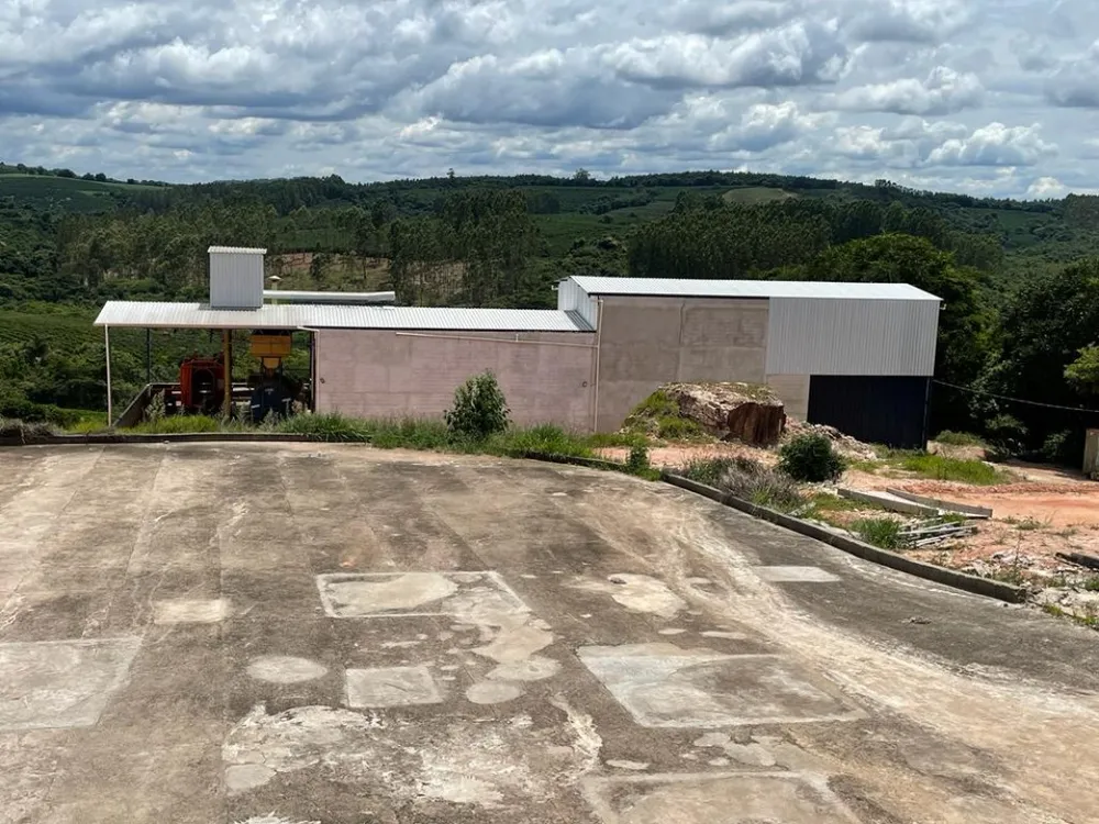 Fazenda, 60 hectares - Foto 4