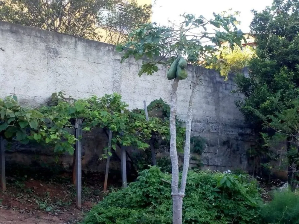 Casa, 5 quartos, 150 m² - Foto 2
