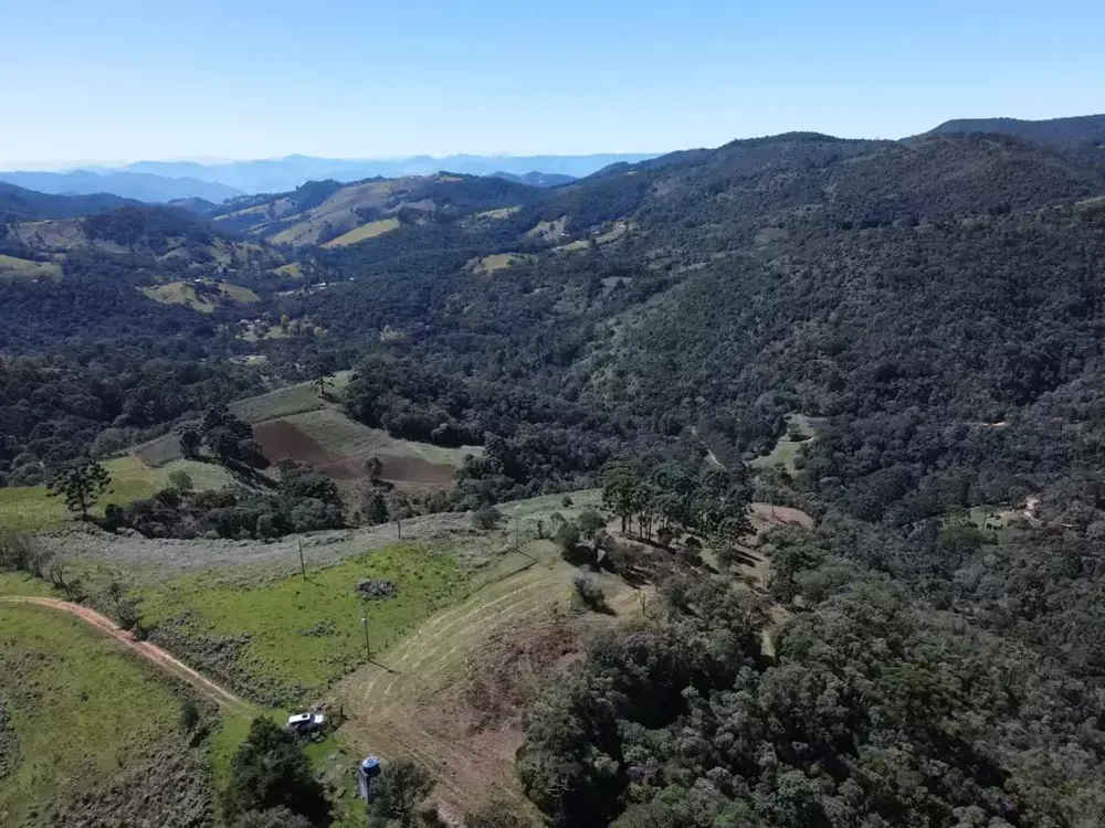 Chácara, 1 quarto, 7 hectares - Foto 4