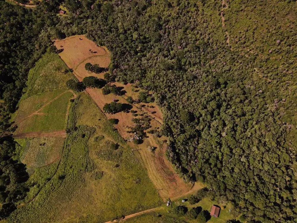Chácara, 1 quarto, 7 hectares - Foto 1