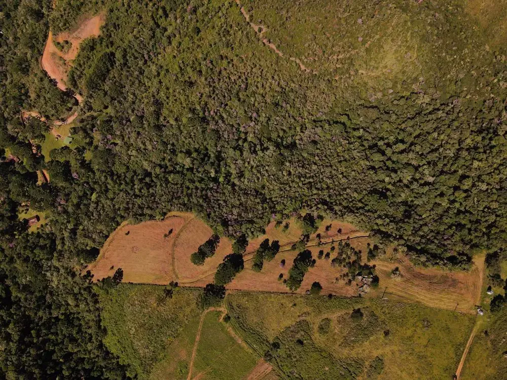 Chácara, 1 quarto, 7 hectares - Foto 6