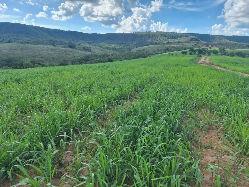 Fazenda, 1 quarto - Foto 8