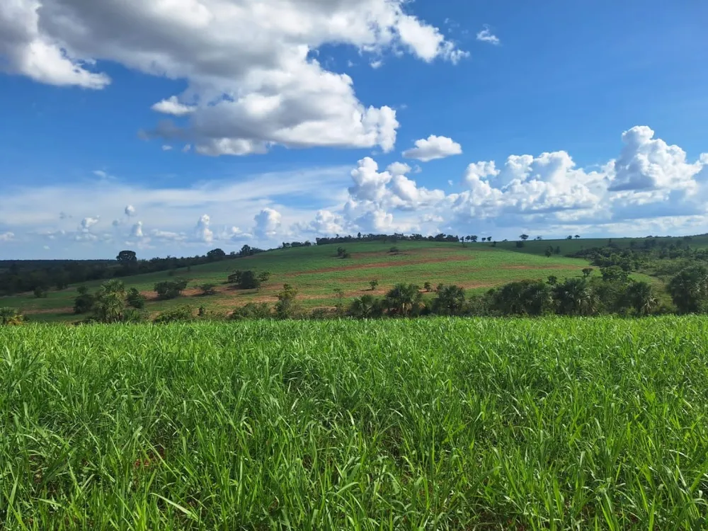 Fazenda, 1 quarto - Foto 11