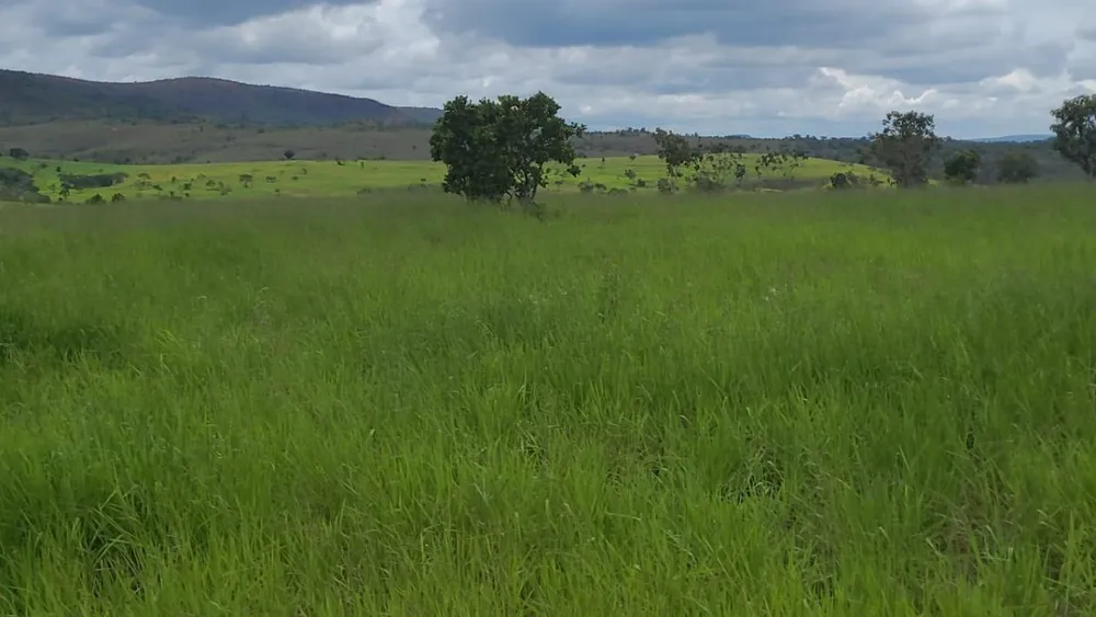 Fazenda, 1 quarto - Foto 16