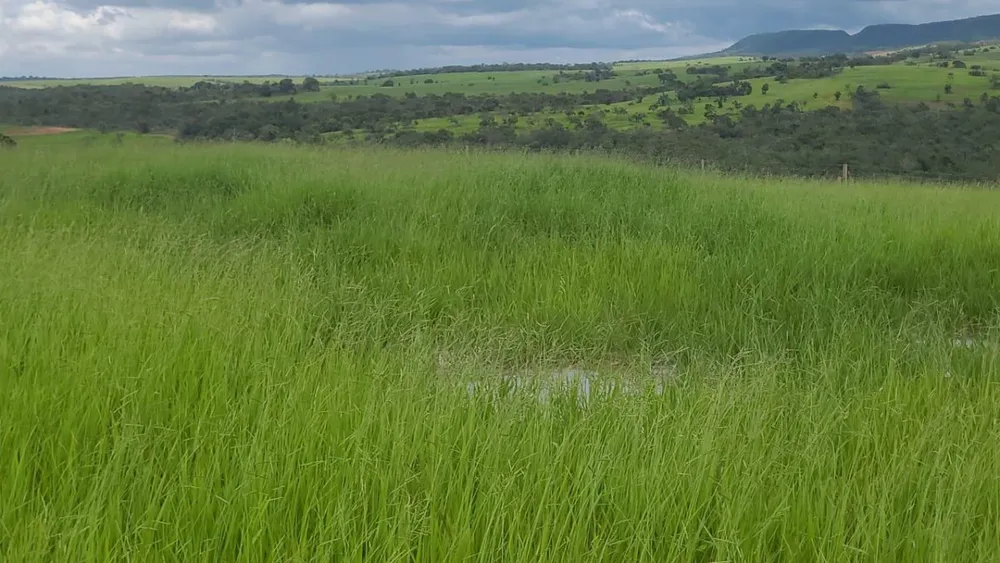 Fazenda, 1 quarto - Foto 15