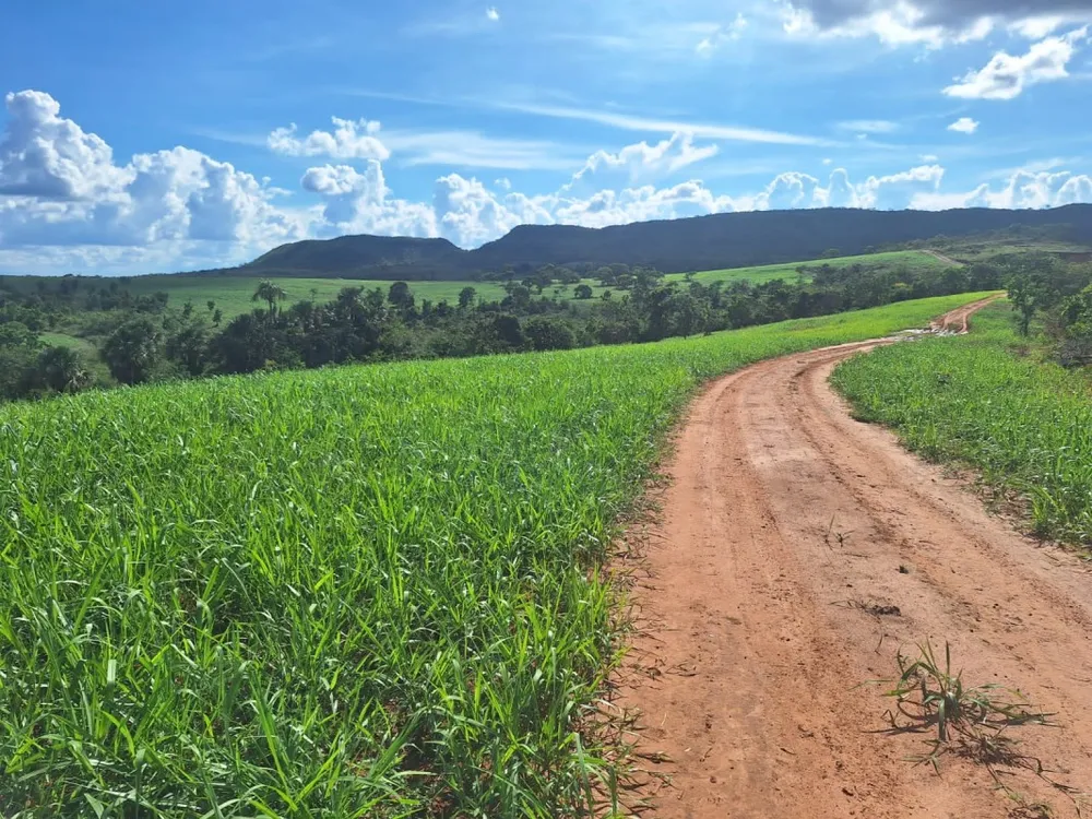 Fazenda, 1 quarto - Foto 10