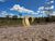 Terreno, 1000 m² - Foto 3