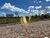 Terreno, 1000 m² - Foto 1