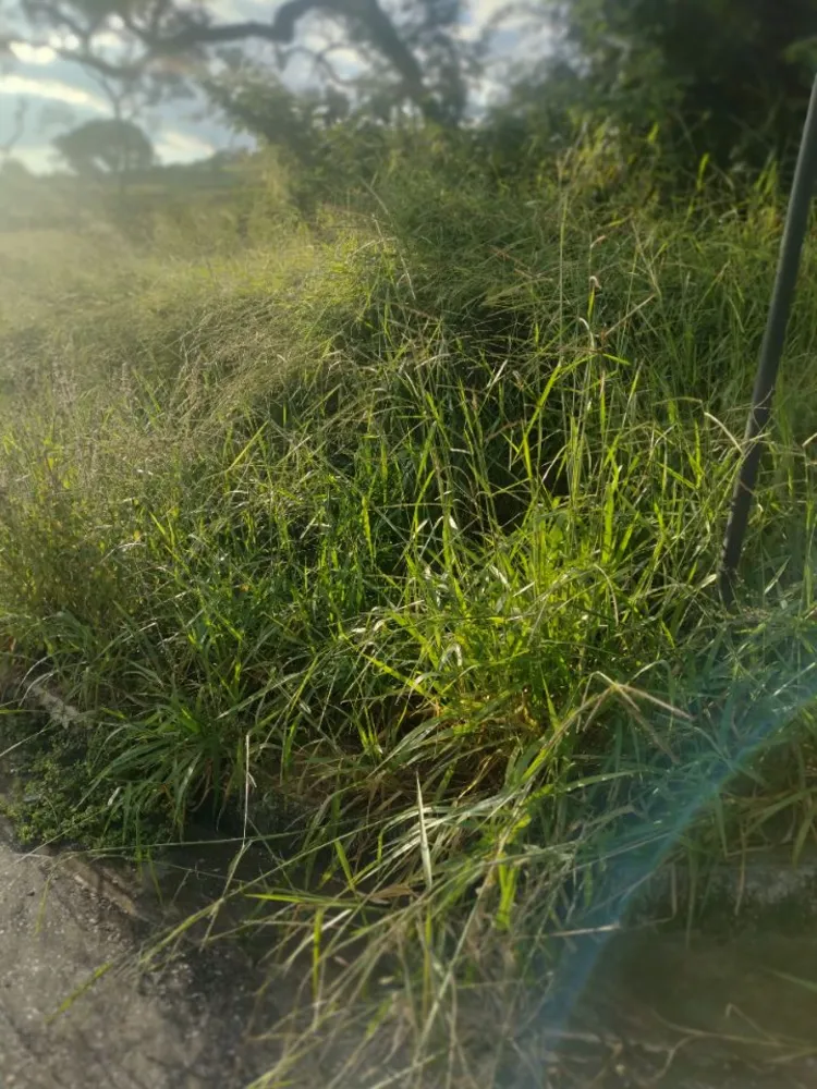Terreno, 2000 m² - Foto 1