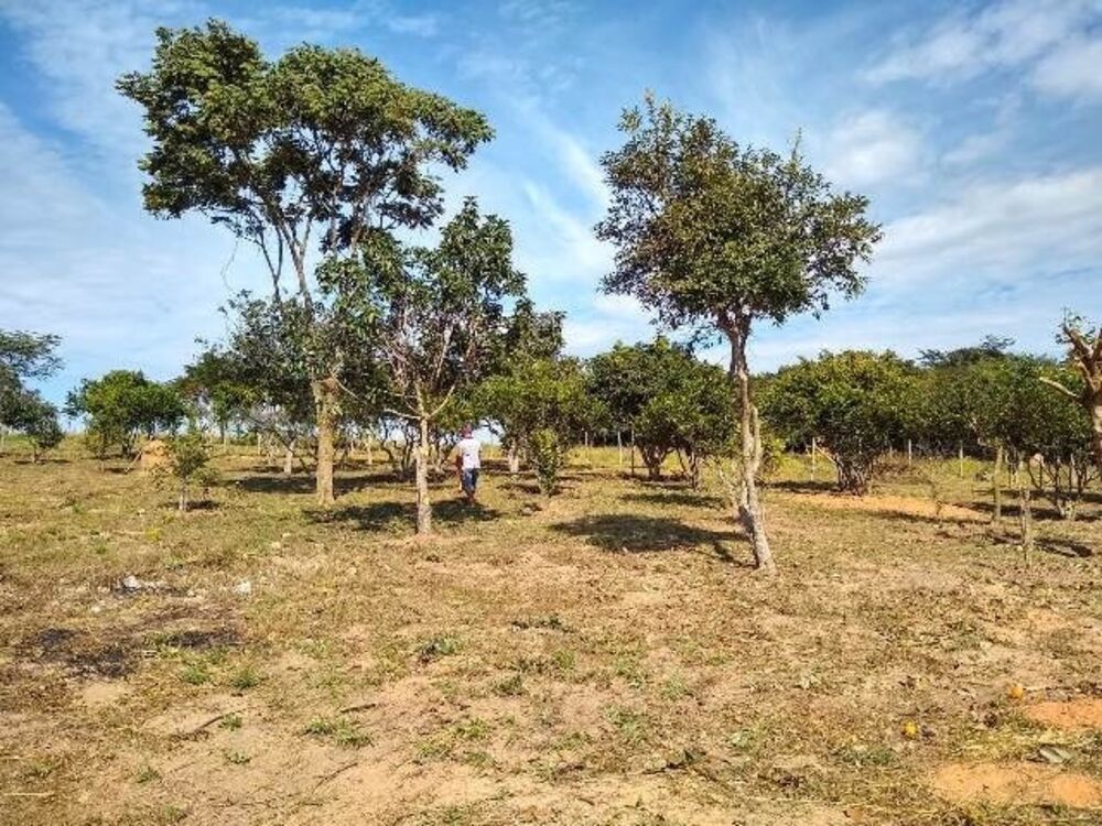 Chácara à venda com 2 quartos, 90m² - Foto 2