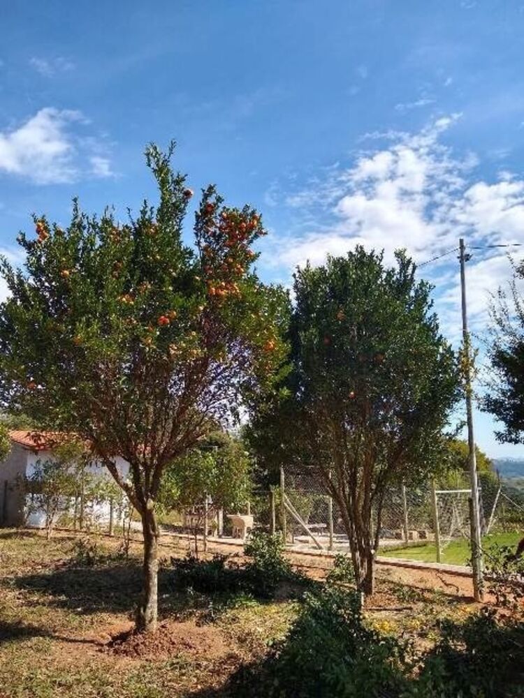 Chácara à venda com 2 quartos, 90m² - Foto 12