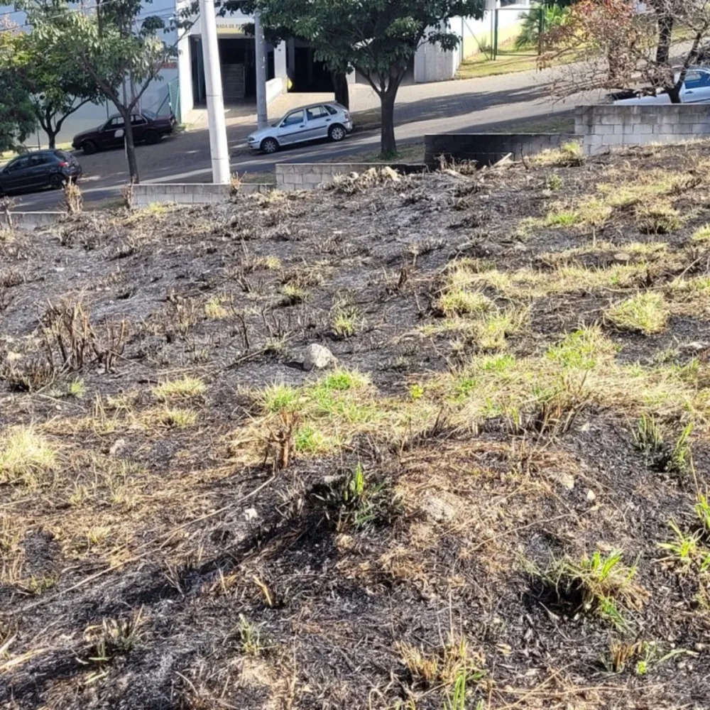 Terreno, 2080 m² - Foto 12