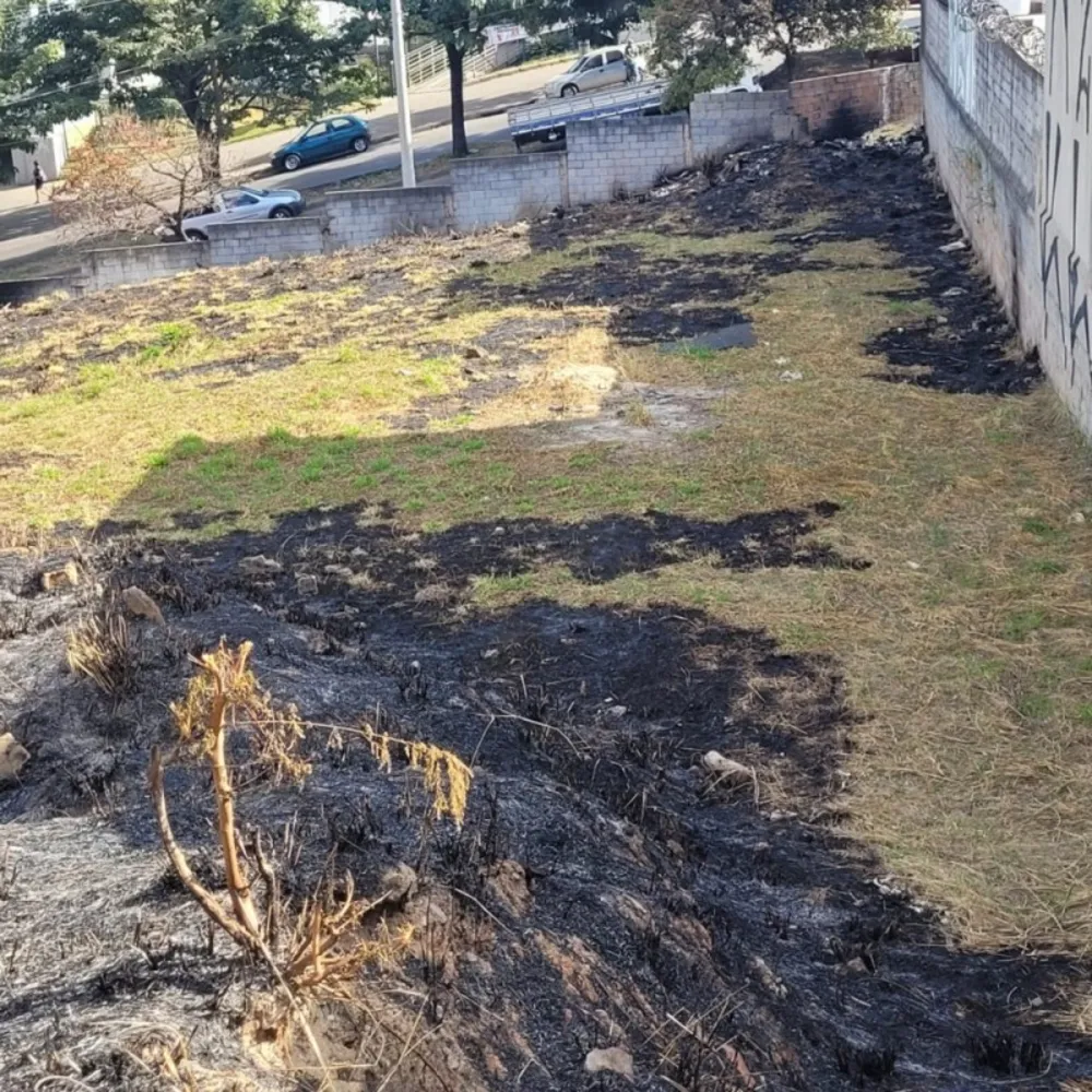 Terreno, 2080 m² - Foto 2