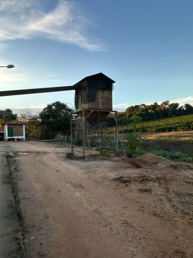 Chácara, 10 quartos - Foto 14