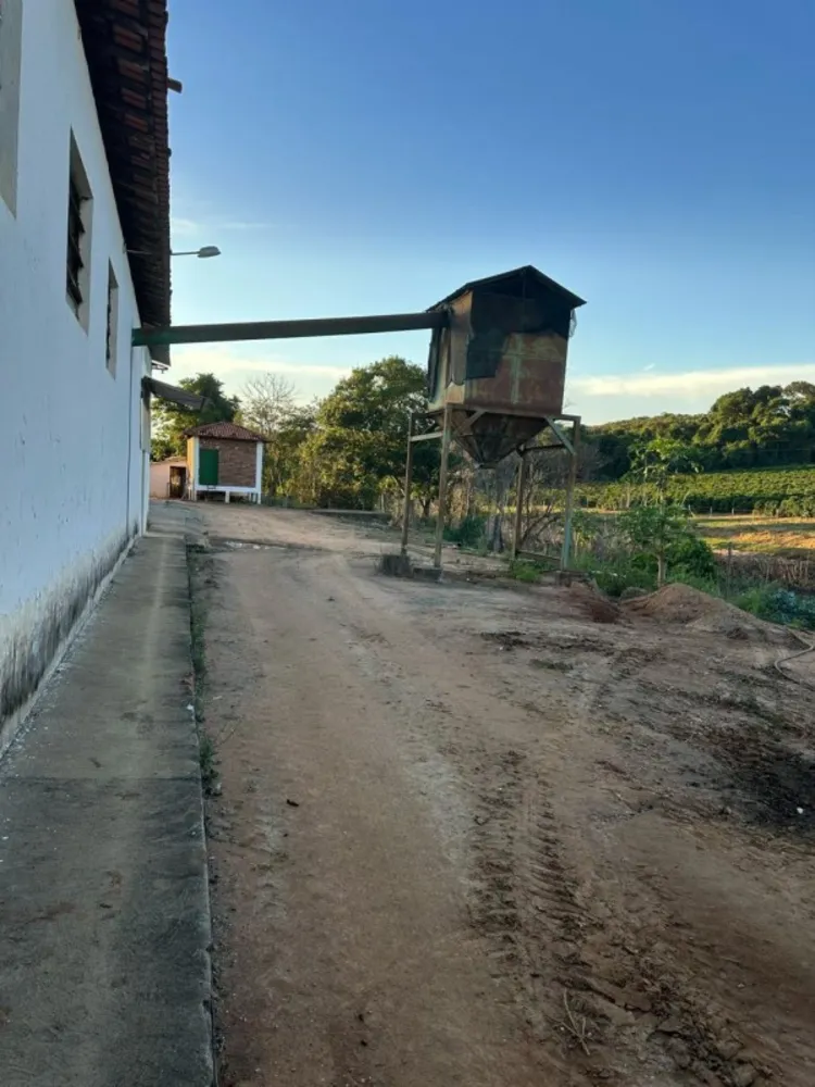 Chácara, 10 quartos - Foto 9