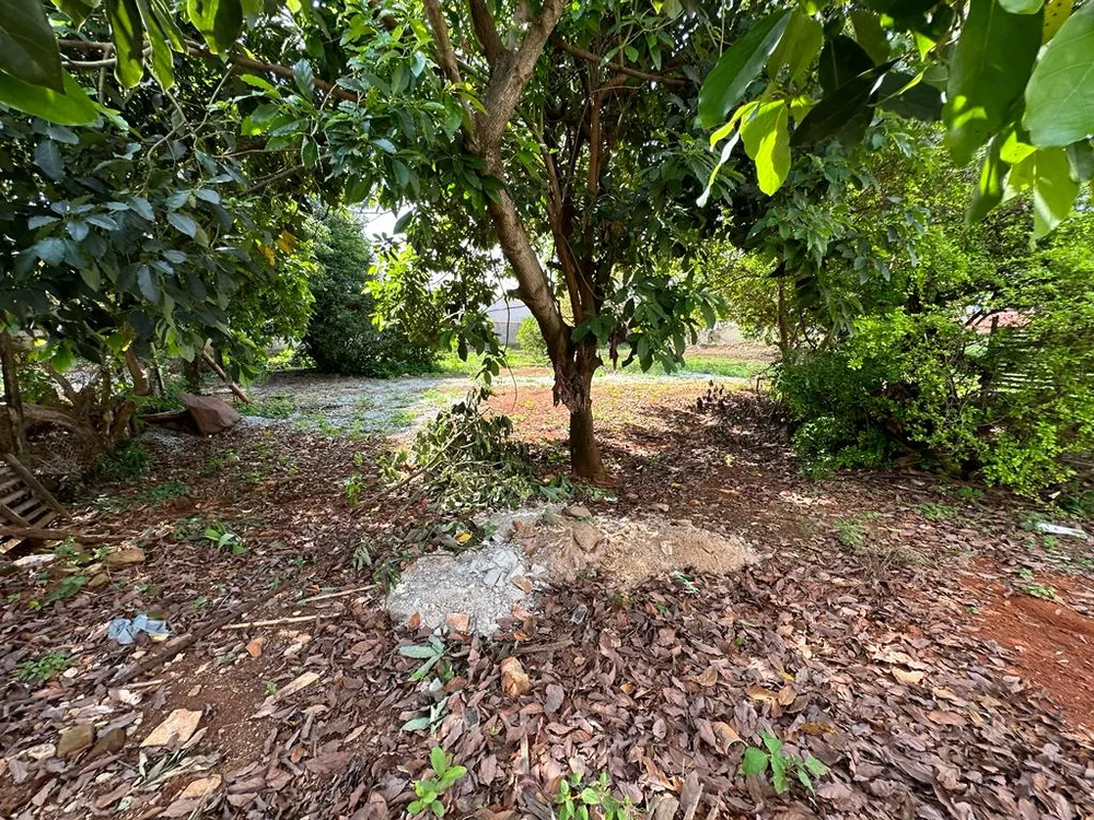Casa, 5 quartos, 3411 m² - Foto 6
