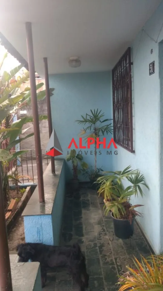 Casa, 4 quartos, 444 m² - Foto 6