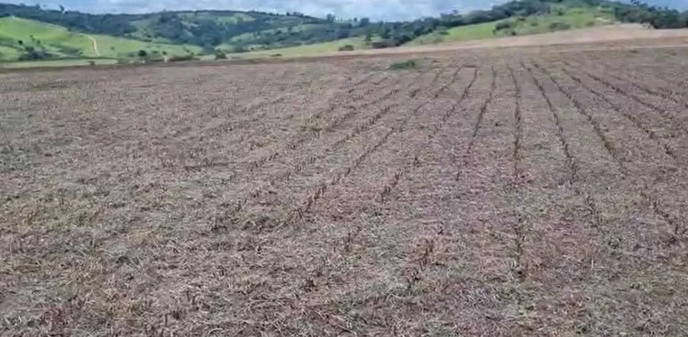 Fazenda, 722 hectares - Foto 3
