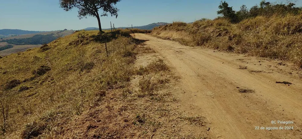 Fazenda, 722 hectares - Foto 6