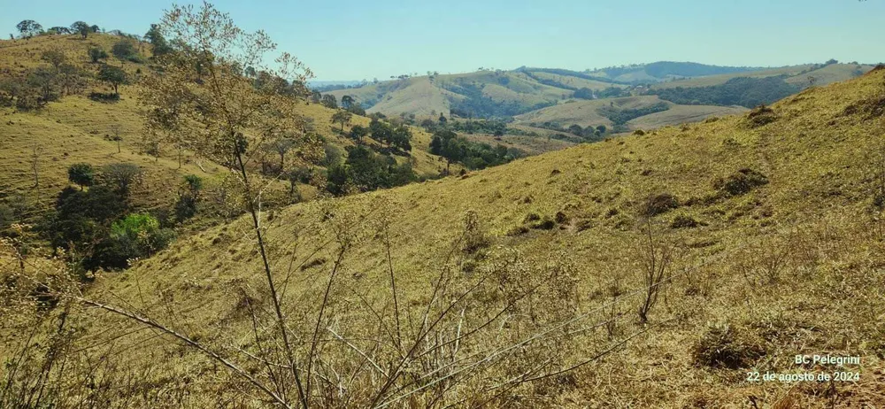 Fazenda, 722 hectares - Foto 7