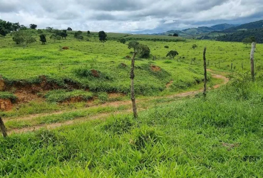 Fazenda, 722 hectares - Foto 1
