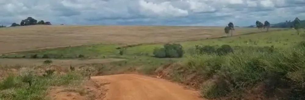 Fazenda, 722 hectares - Foto 5