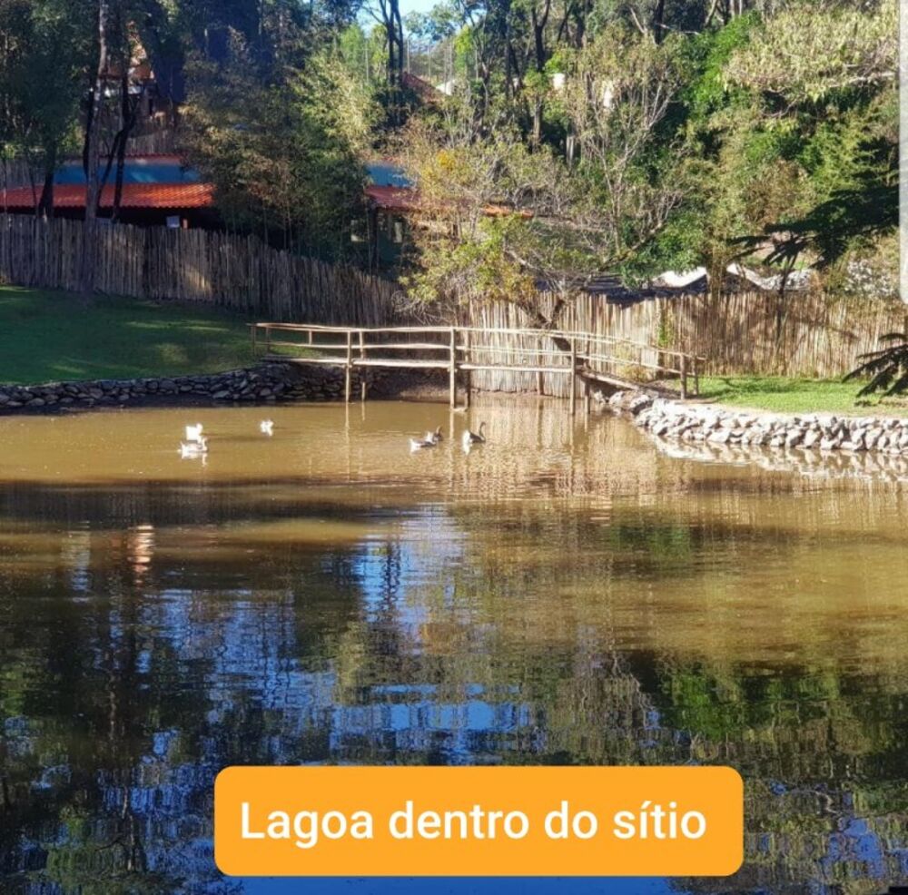 Casa à venda com 3 quartos, 6000m² - Foto 6