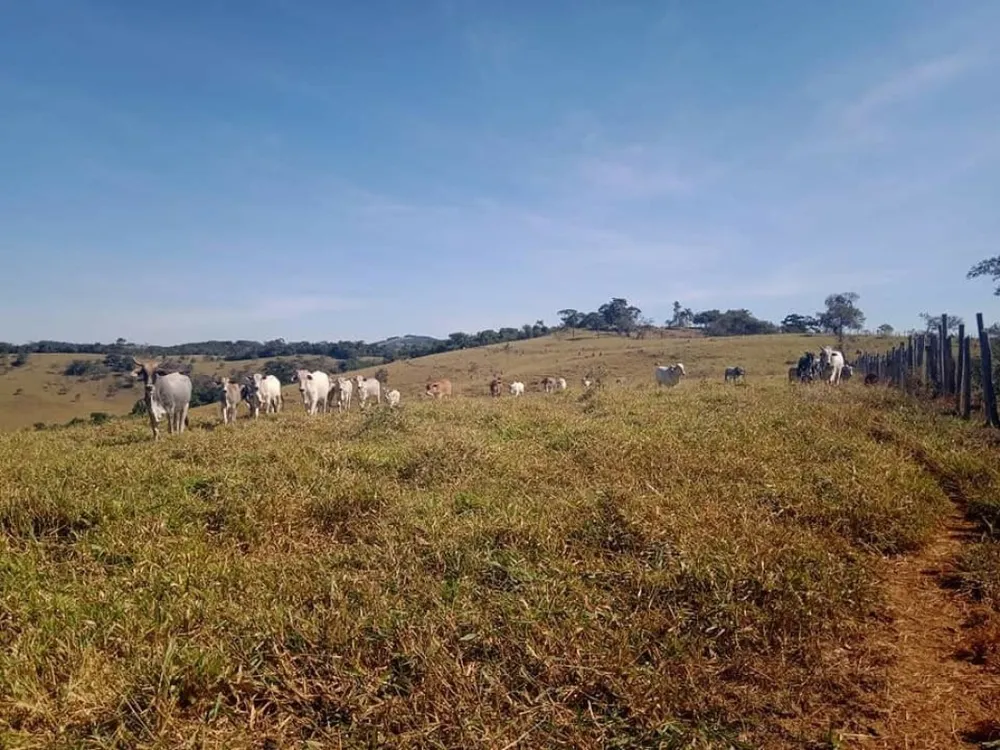 Fazenda, 5 hectares - Foto 7