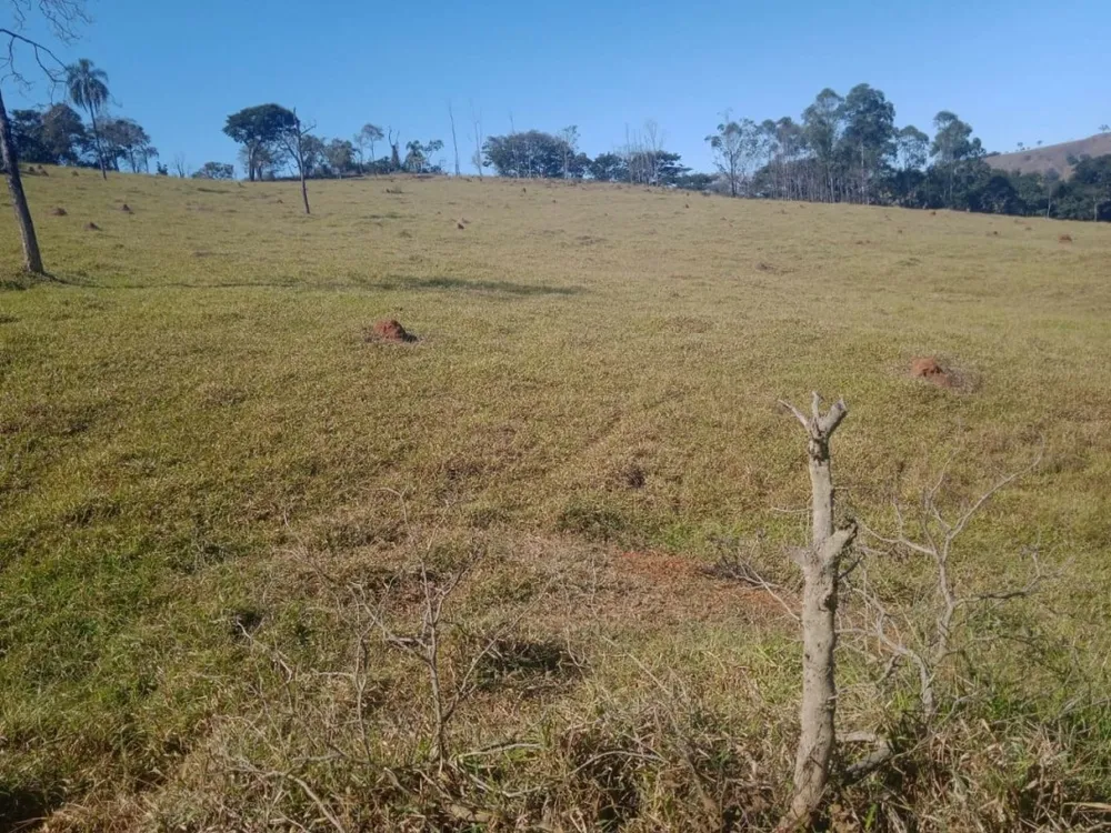Fazenda, 5 hectares - Foto 1