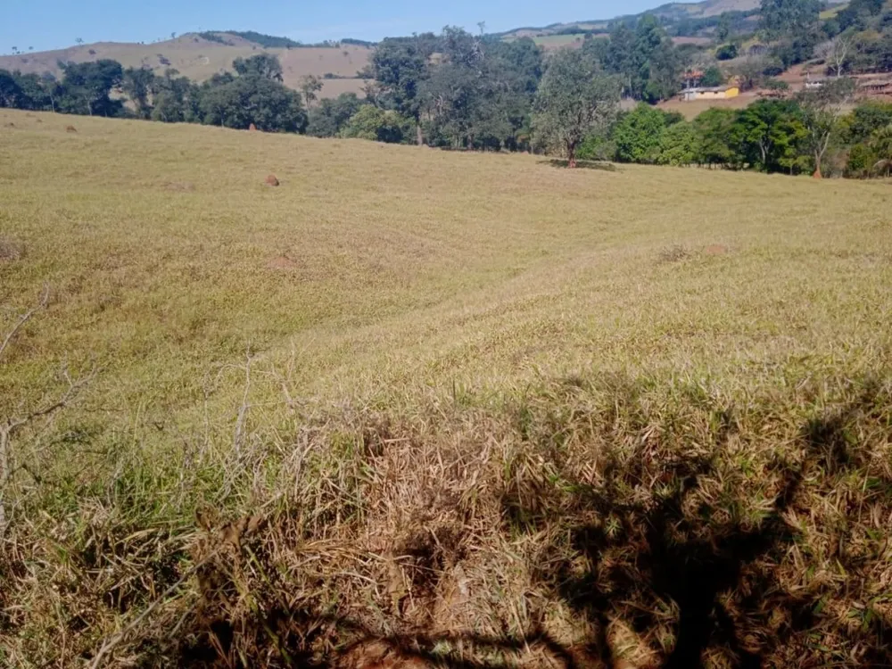 Fazenda, 5 hectares - Foto 3