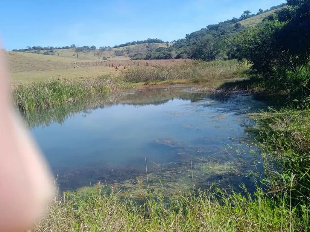Fazenda, 5 hectares - Foto 8